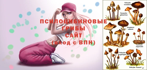 не бодяженный Осинники